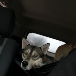 Meet your Posher, Tom